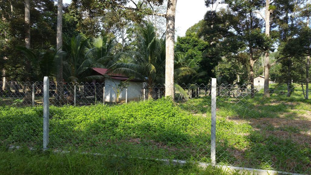Chalet Kampong Semawar Kuala Kangsar Zewnętrze zdjęcie