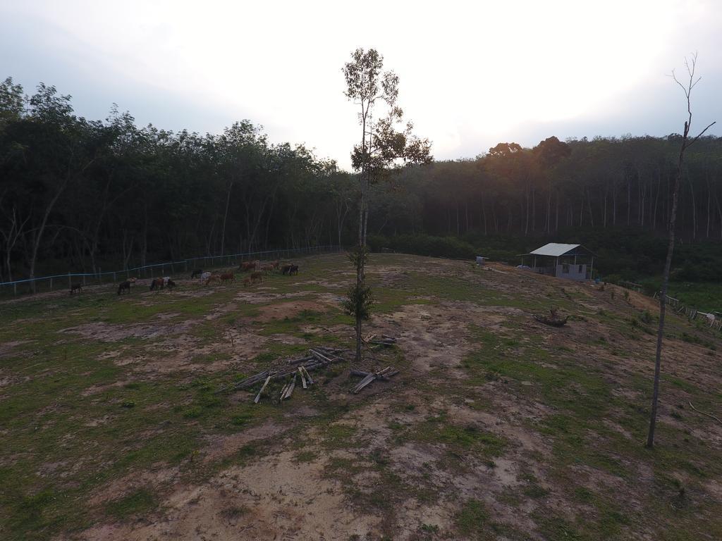 Chalet Kampong Semawar Kuala Kangsar Zewnętrze zdjęcie